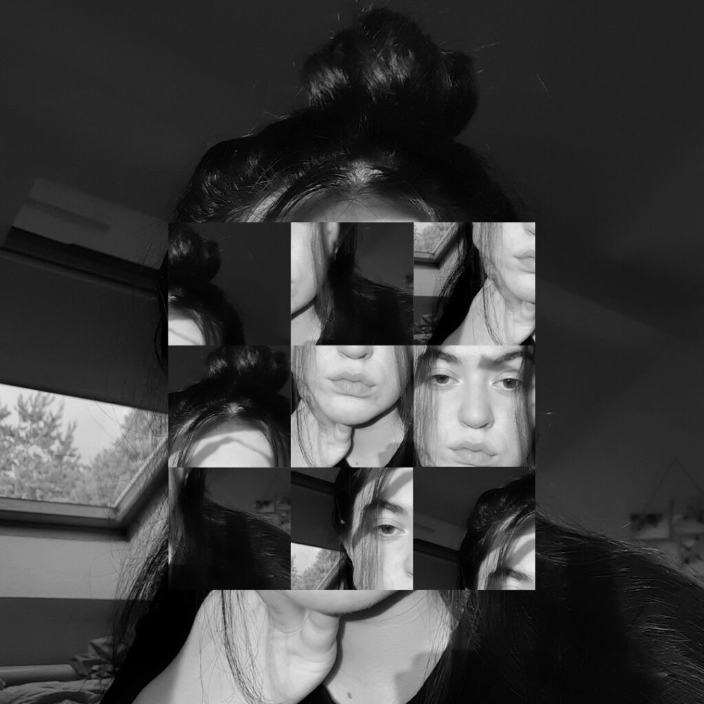 Edited picture of young woman (Veronika Haidarow) showing small tiles of the face at different positions